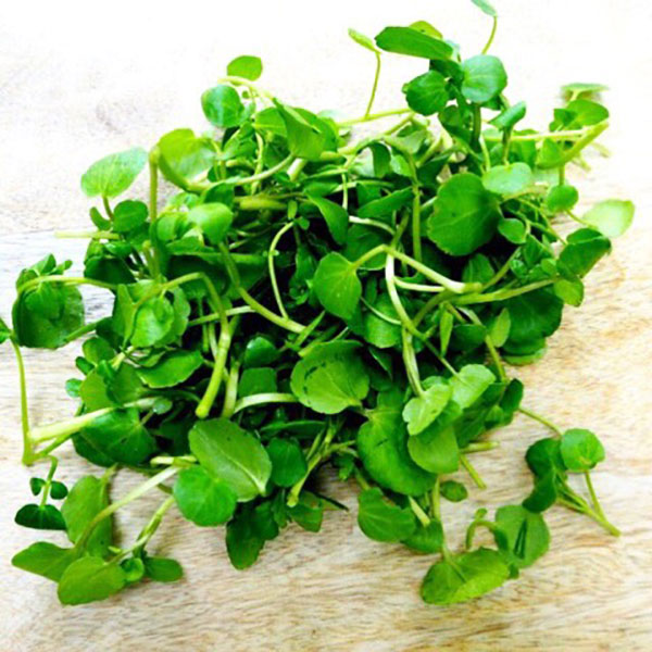Watercress what a nutrient powerhouse!
